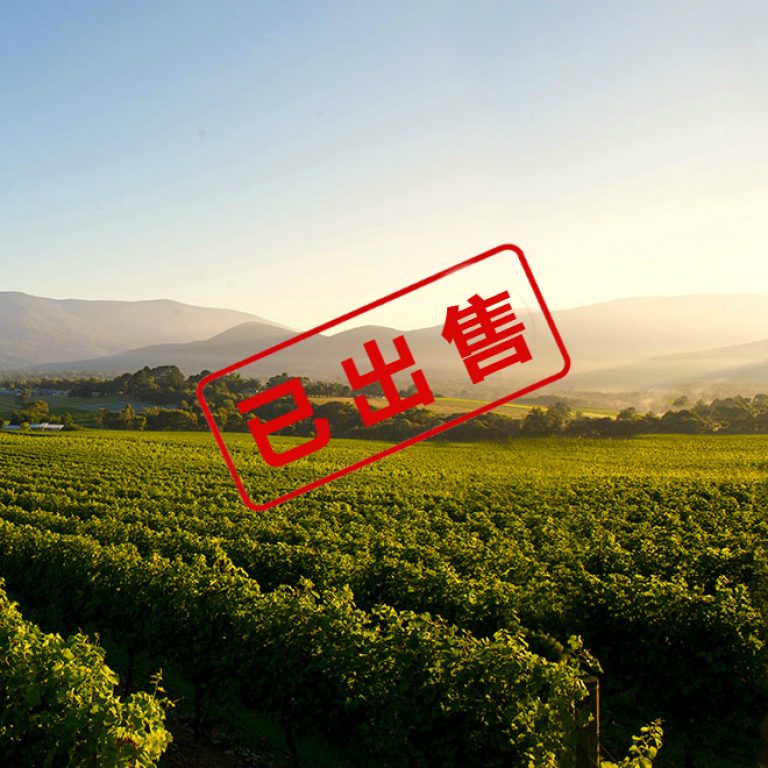 visionsofvictoria1348150-833_meitu_13